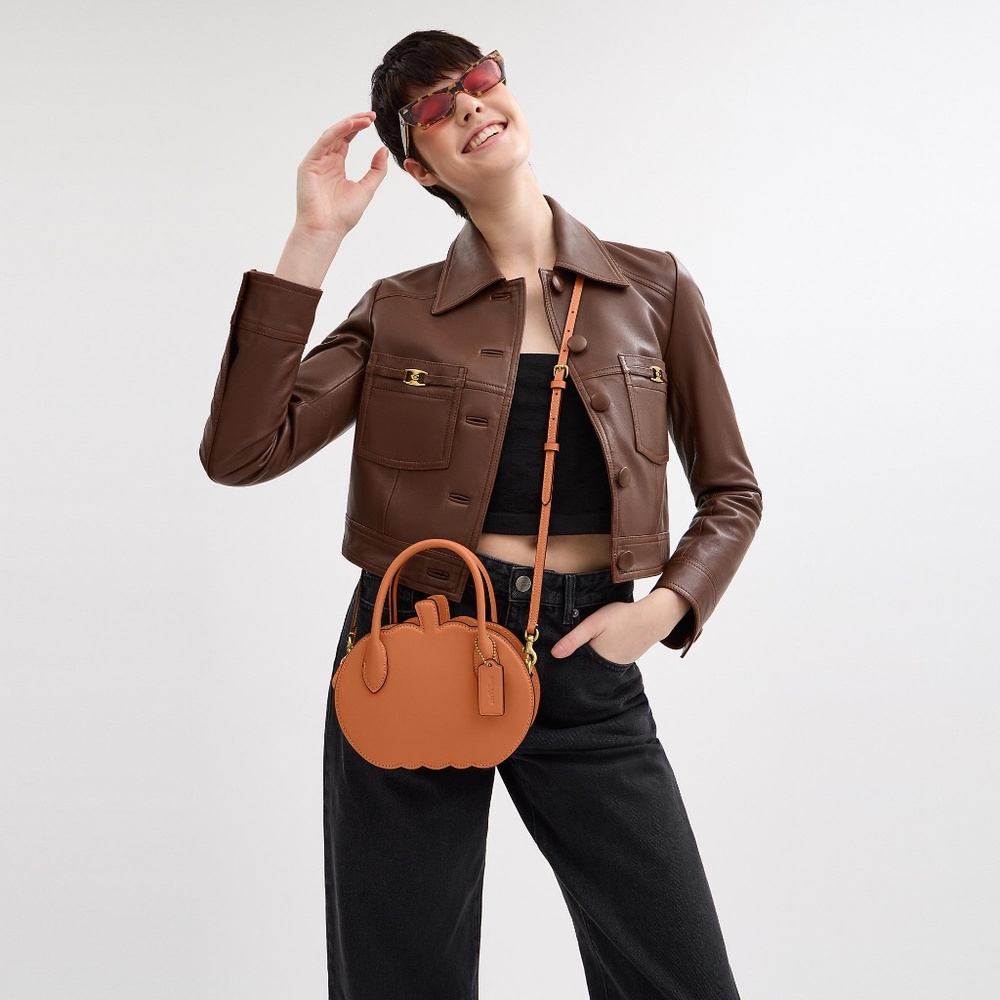 Coach Pumpkin Bag - Picture 2 of 3
